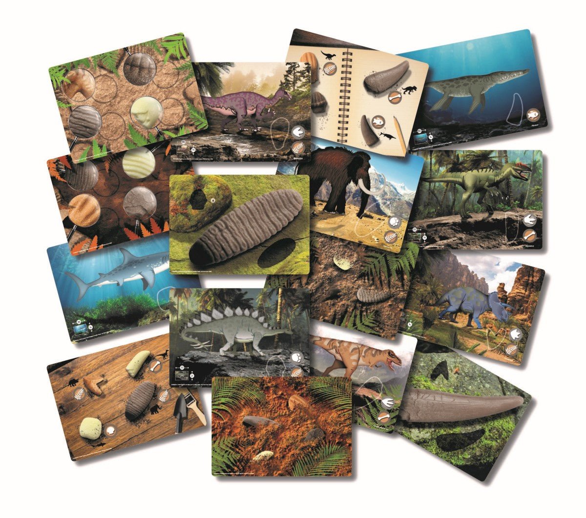 Yellow Door Prehistoric Teeth Explore and Discover Activity Cards (16) - Little Whispers
