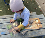 Yellow Door Prehistoric Teeth Explore and Discover Activity Cards (16) - Little Whispers