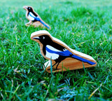 Lanka Kade Magpie - Little Whispers
